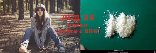 индика Абаза
