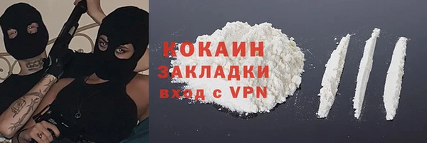 индика Абаза
