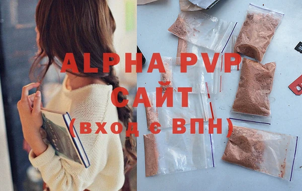 индика Абаза