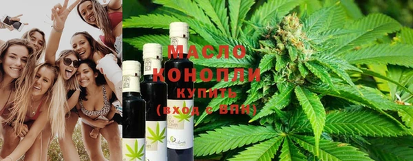 индика Абаза