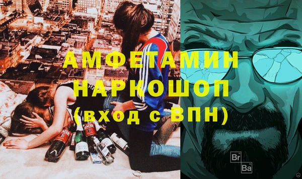 индика Абаза