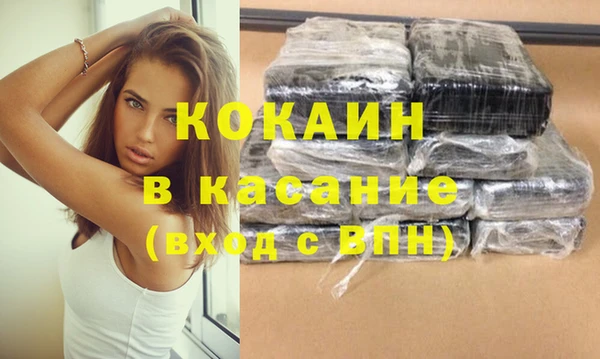 индика Абаза