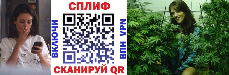 Бошки Шишки планчик  Барыш 